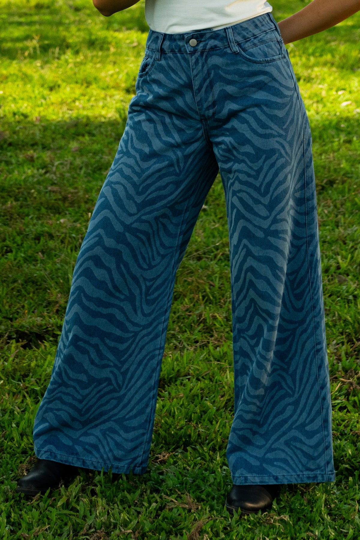 Ref 006